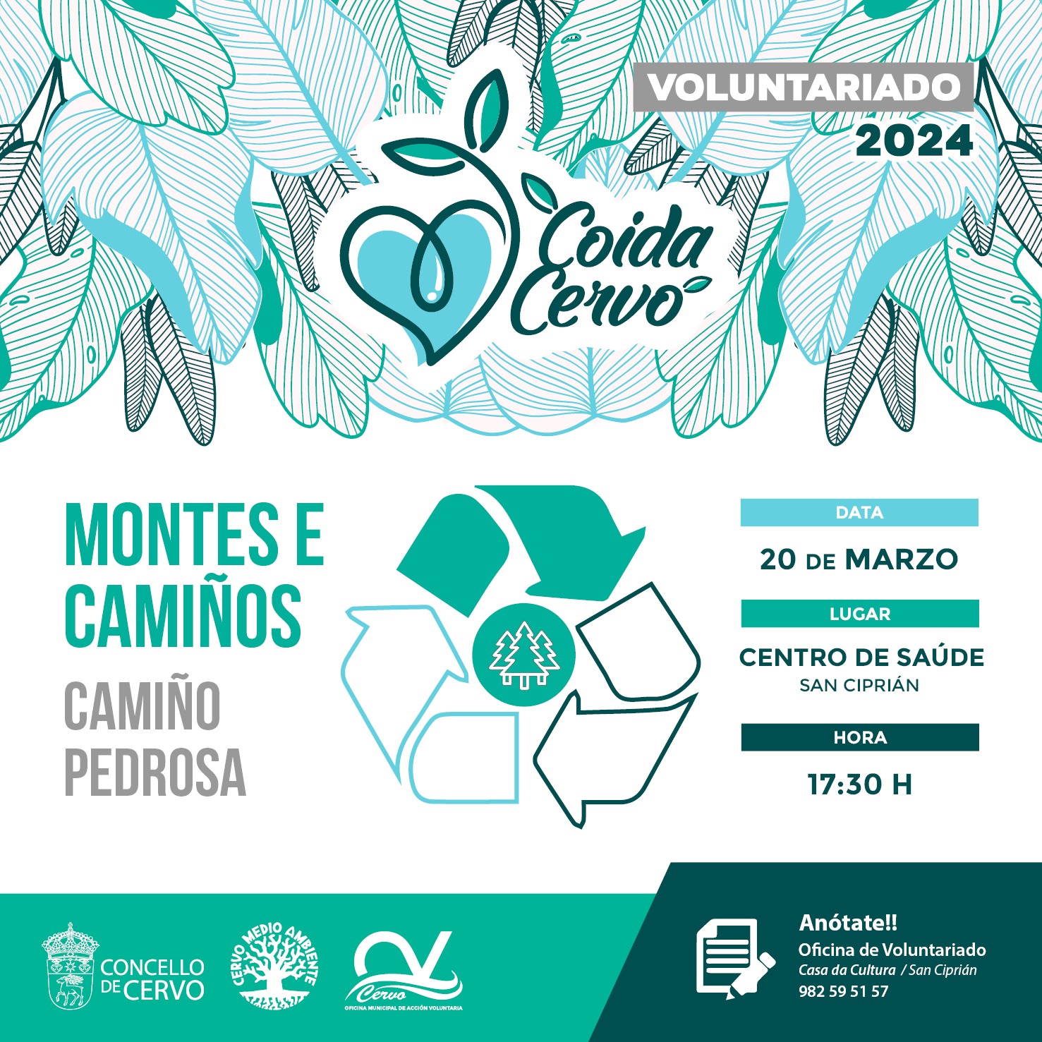 Coida Cervo, Cervo ao carón do voluntariado