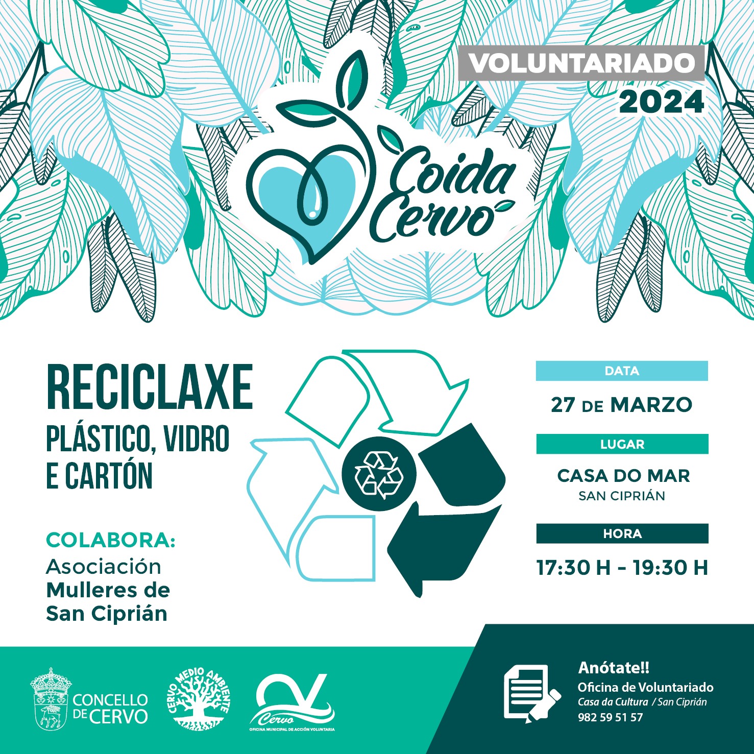 Coida Cervo, Cervo ao carón do voluntariado