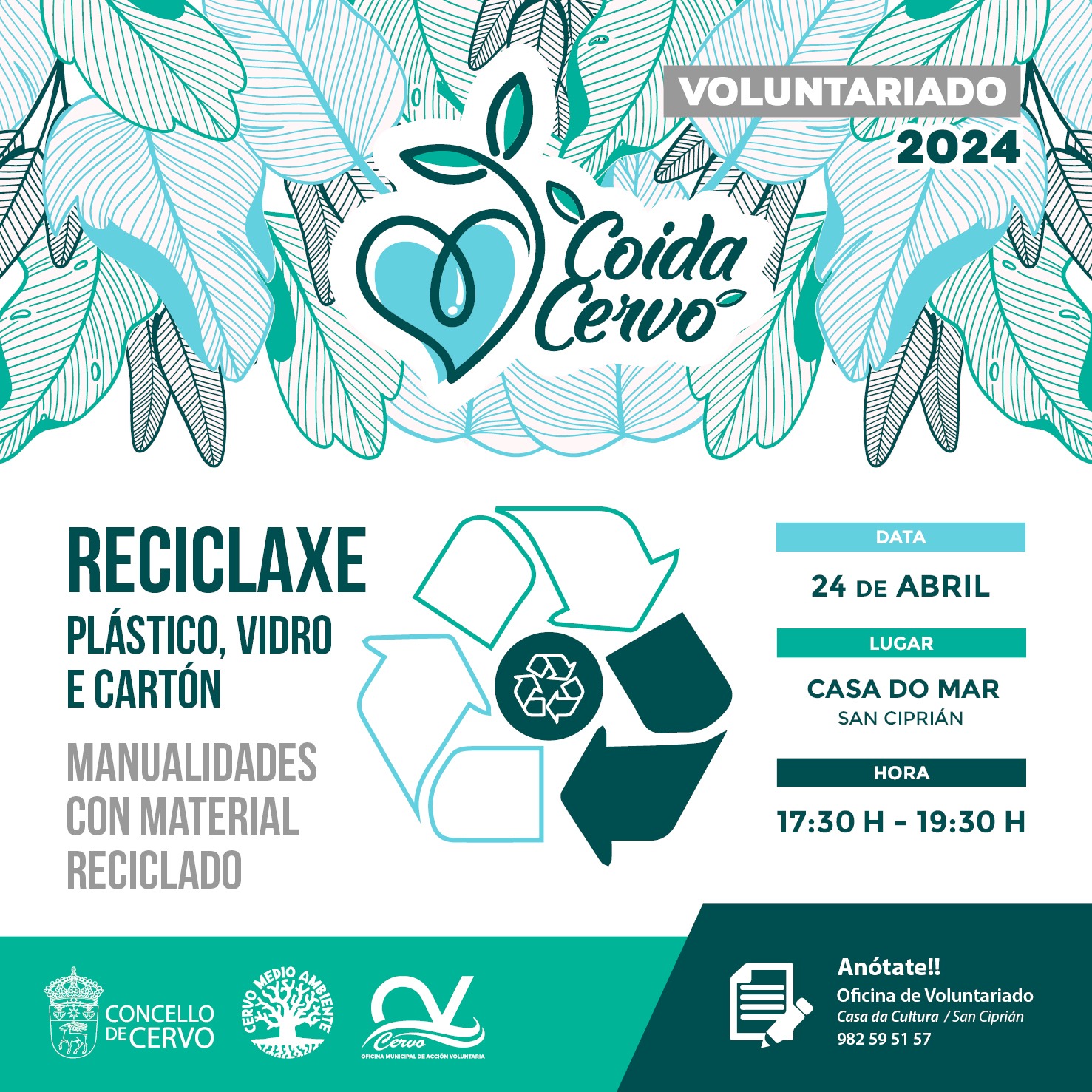 Coida Cervo, Cervo ao carón do voluntariado