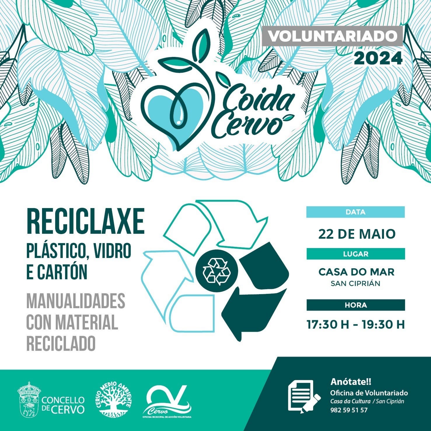 Coida Cervo, Cervo ao carón do voluntariado