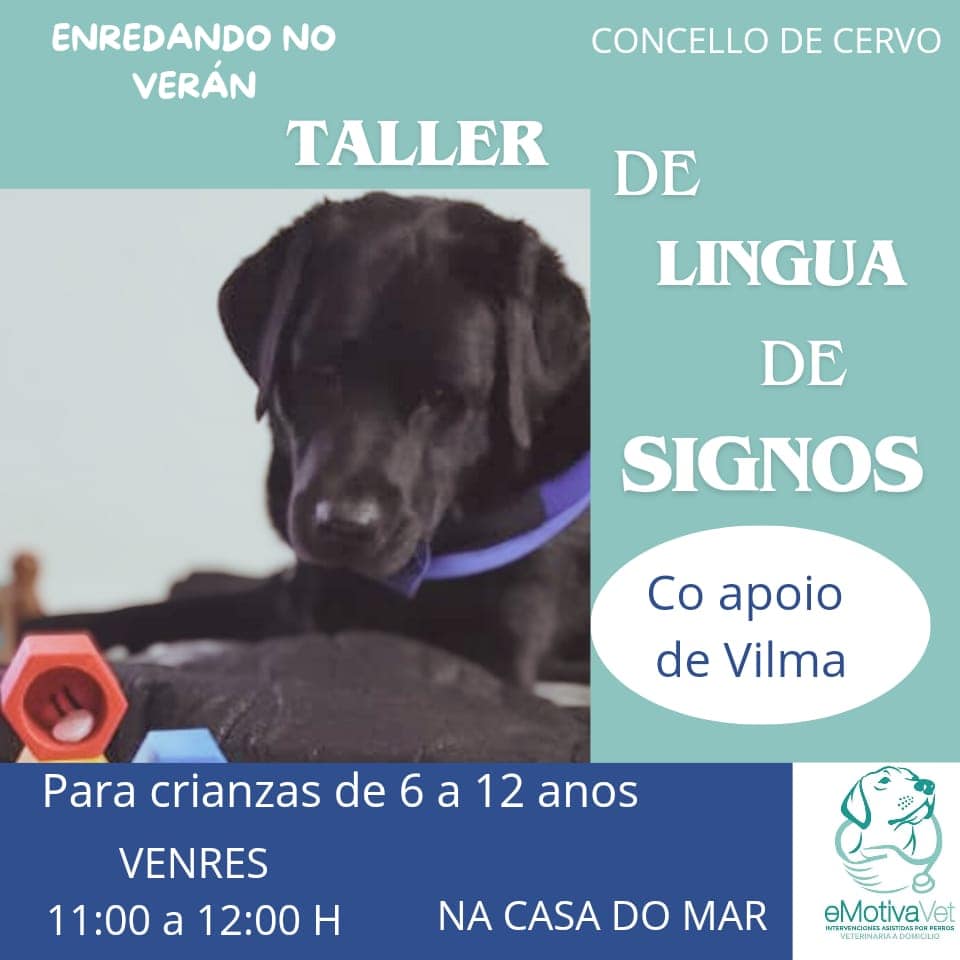 Taller de lingua de signos