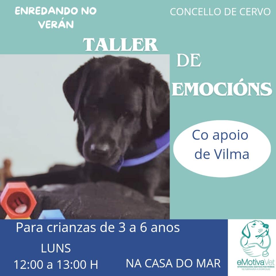 TALLER DE EMOCIÓNS, ENREDANDO NO VERÁN
