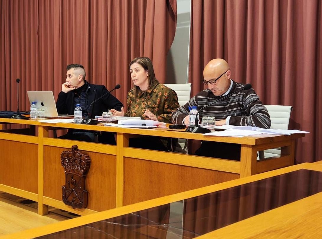 Pleno sobre Sargadelos