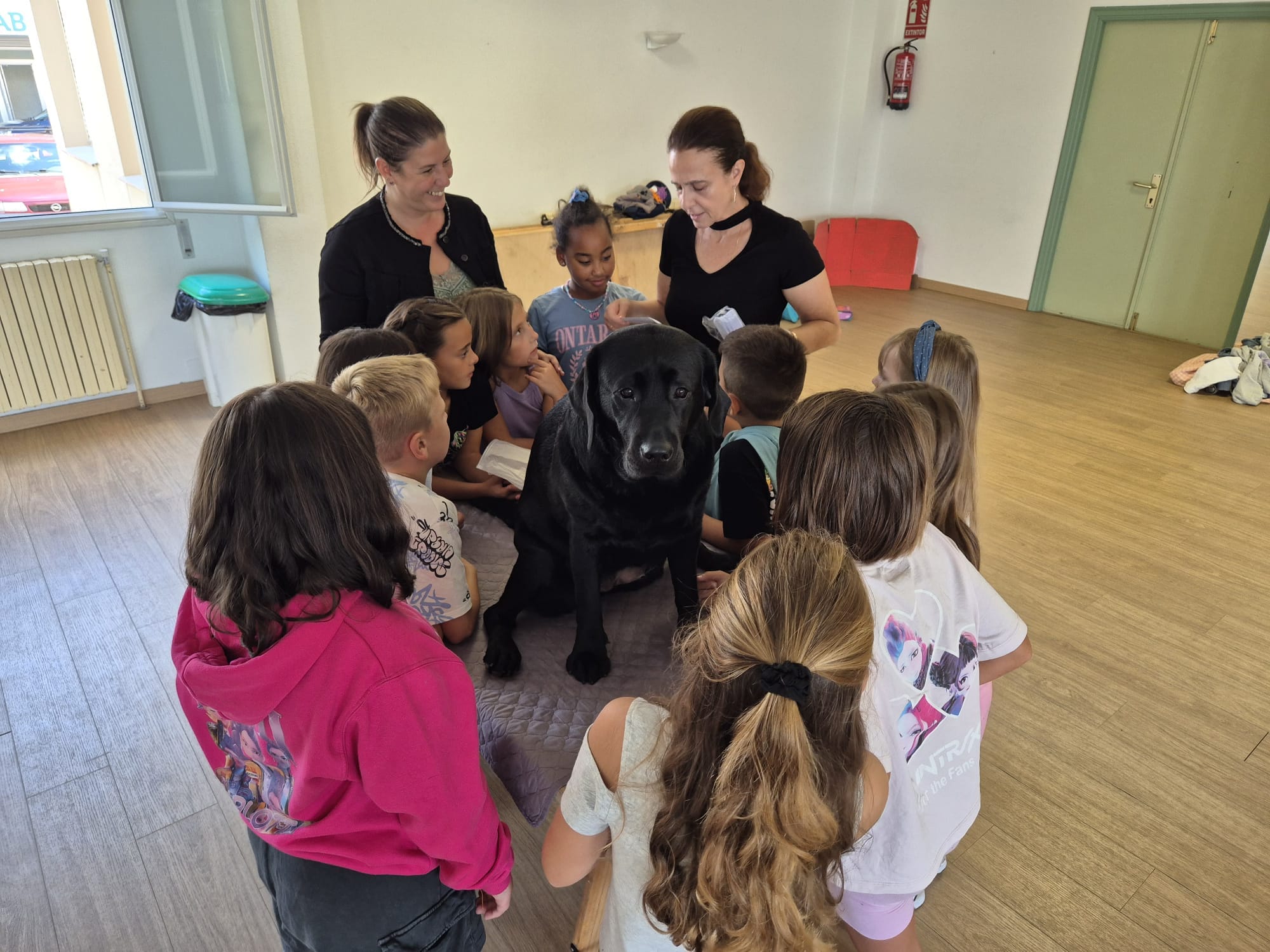TALLER DE EMOCIÓNS
