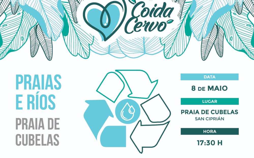 Coida Cervo, Cubelas