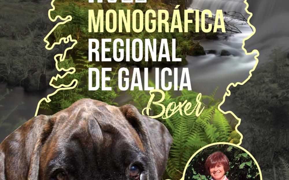 XVII MONOGRÁFICA REXIONAL DE GALICIA DE BOXER