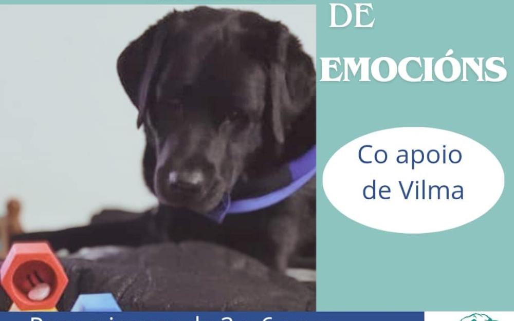 TALLER DE EMOCIÓNS, ENREDANDO NO VERÁN