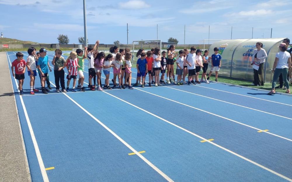 carreira solidaria